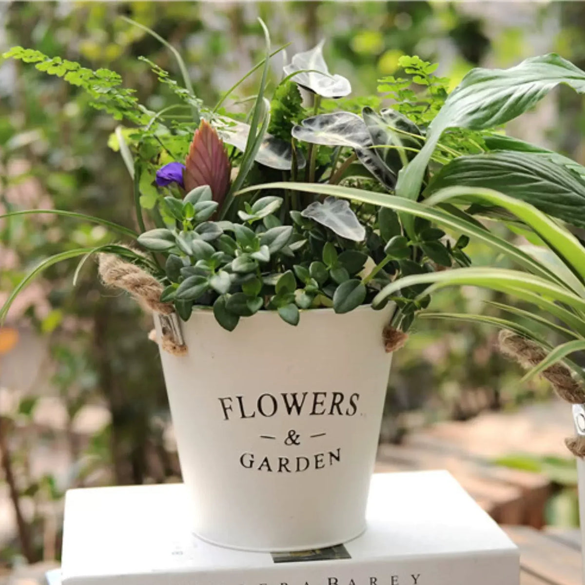 Farmhouse Metal Flower Bucket by RusticReach, white rope-handled bucket with greenery on Tampa Home & Garden Store