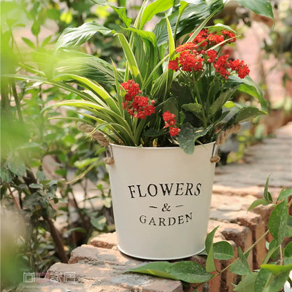Farmhouse metal flower bucket planter in white with red blooms by RusticReach on Tampa Home & Garden Store