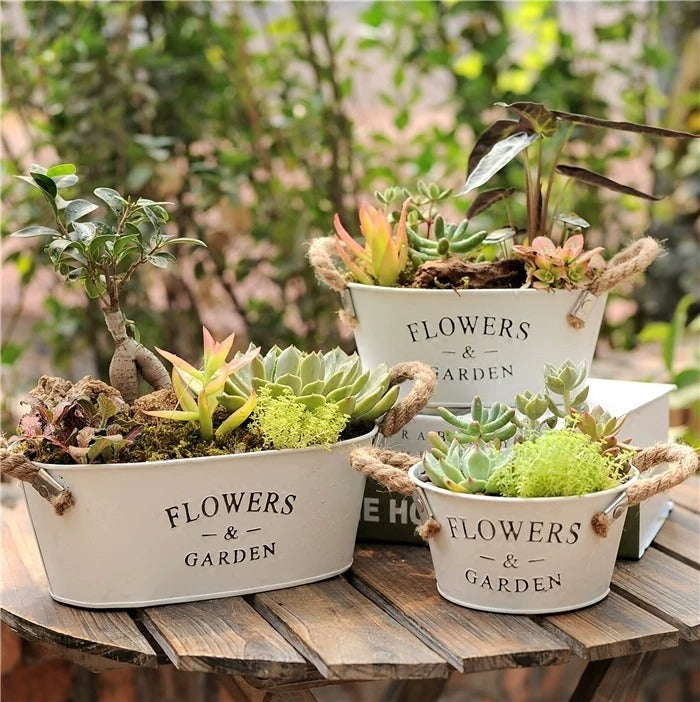 Farmhouse metal flower planters RusticReach set of three oval & round rope handles succulents on Tampa Home & Garden Store