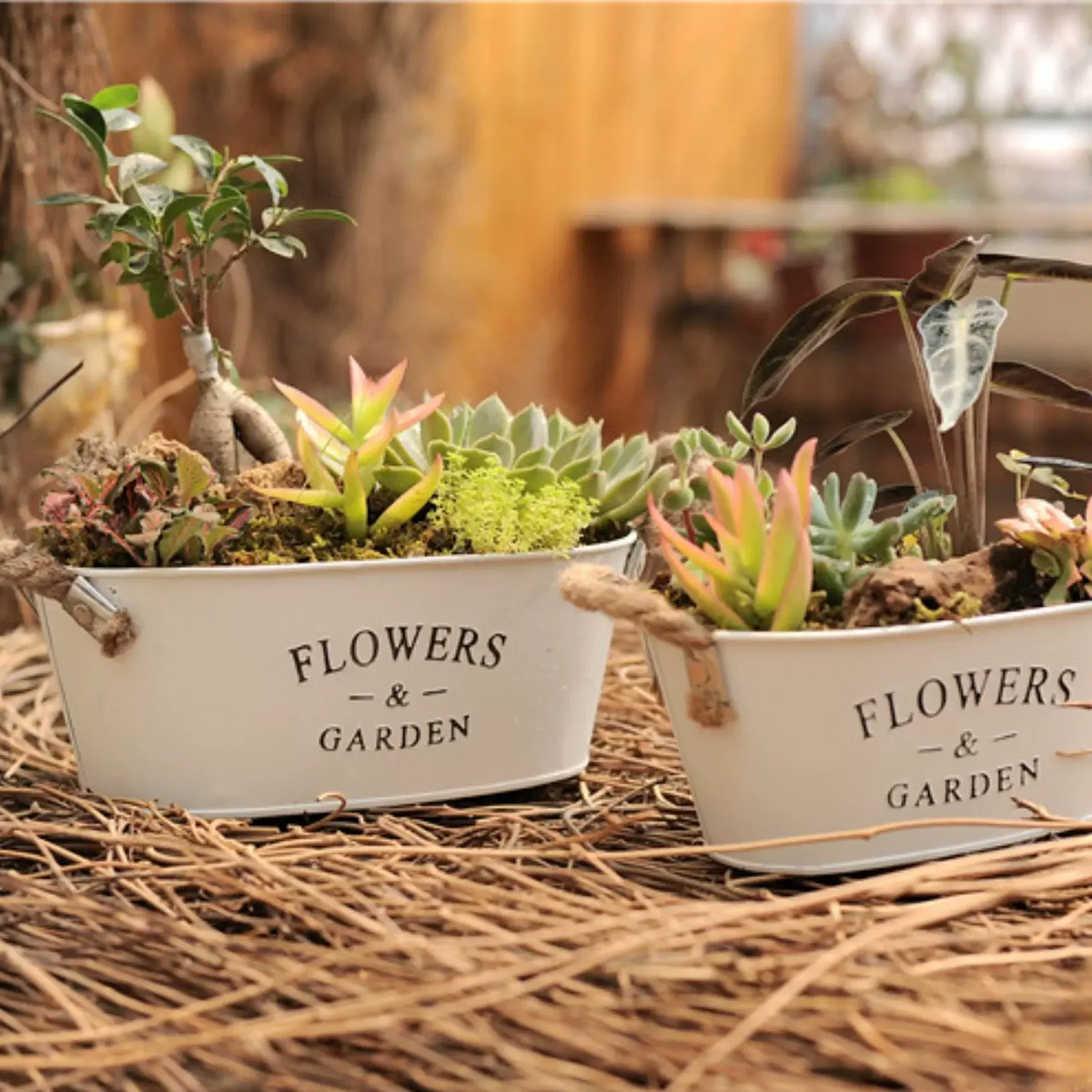 Two farmhouse metal flower planters oval & round white with rope handles, succulents on Tampa Home & Garden Store