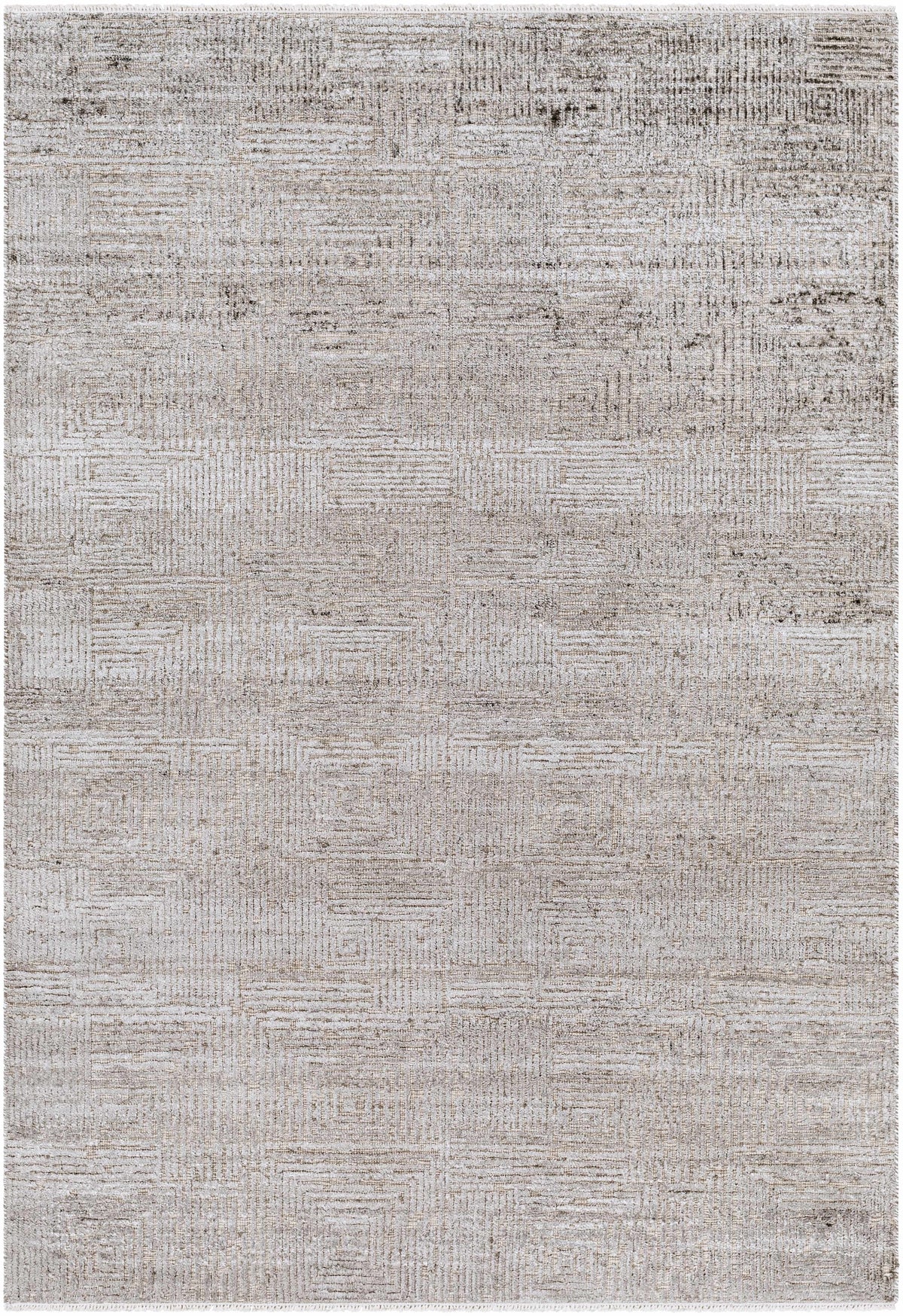 Struie Area Rug beige gray distressed geometric pattern Boutique Rugs on Tampa Home & Garden Store