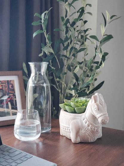 Terracotta horse pot planter with succulent, KORISSA plant decor on Tampa Home & Garden Store