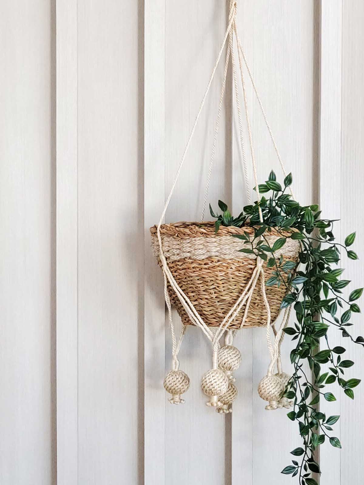 Plant Hanger - Kadam