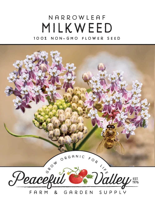 Narrowleaf Milkweed seeds with pink-purple flower clusters, Peaceful Valley brand on Tampa Home and Garden Store