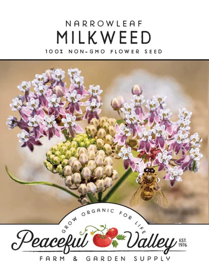 Narrowleaf Milkweed seeds with pink-purple flower clusters, Peaceful Valley brand on Tampa Home and Garden Store