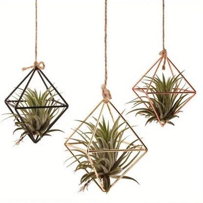 4 Metal Geometric Air Plant Stands for Home Decor