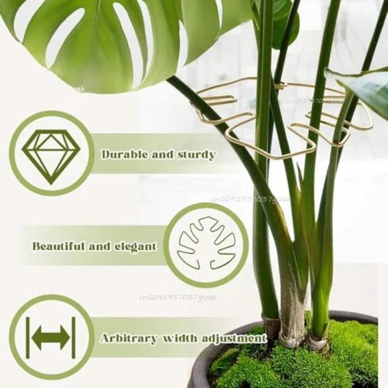 Indoor Plant Stem Support Clips for Houseplants