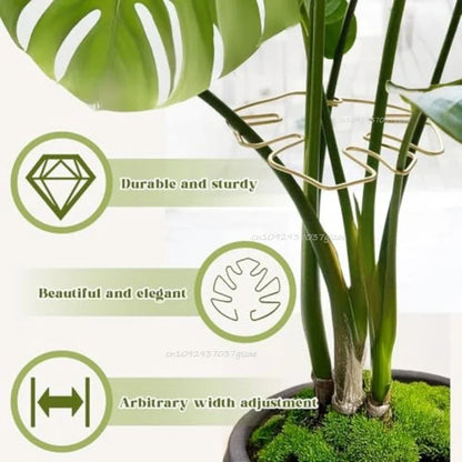 Indoor Plant Stem Support Clips for Houseplants