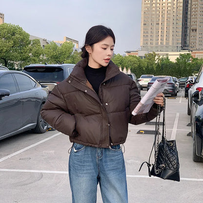 Women winter cropped puffer jacket cotton padded by UpTrend Deals with black quilted handbag on Tampa Home & Garden Store