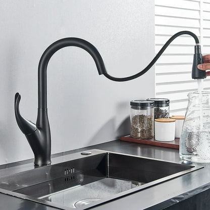 DecorBites Kitchen Faucet pull-out spray black matte finish and 2-function gooseneck spout on Tampa Home & Garden Store