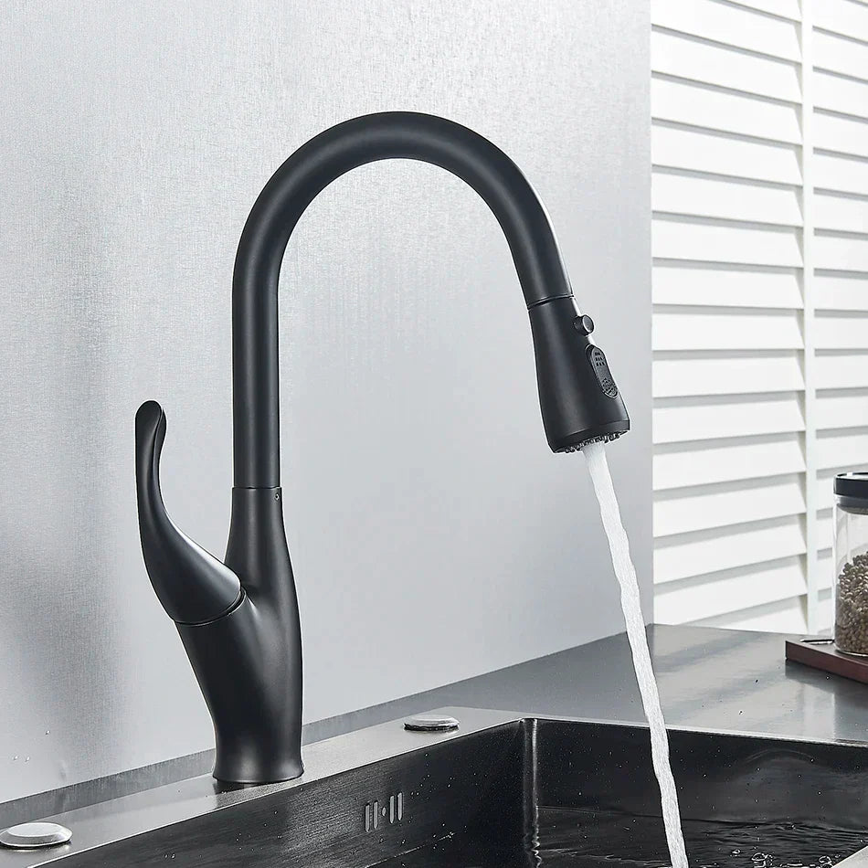DecorBites kitchen faucet black/chrome pull-out mixer with 2-function spout, modern design on Tampa Home & Garden Store