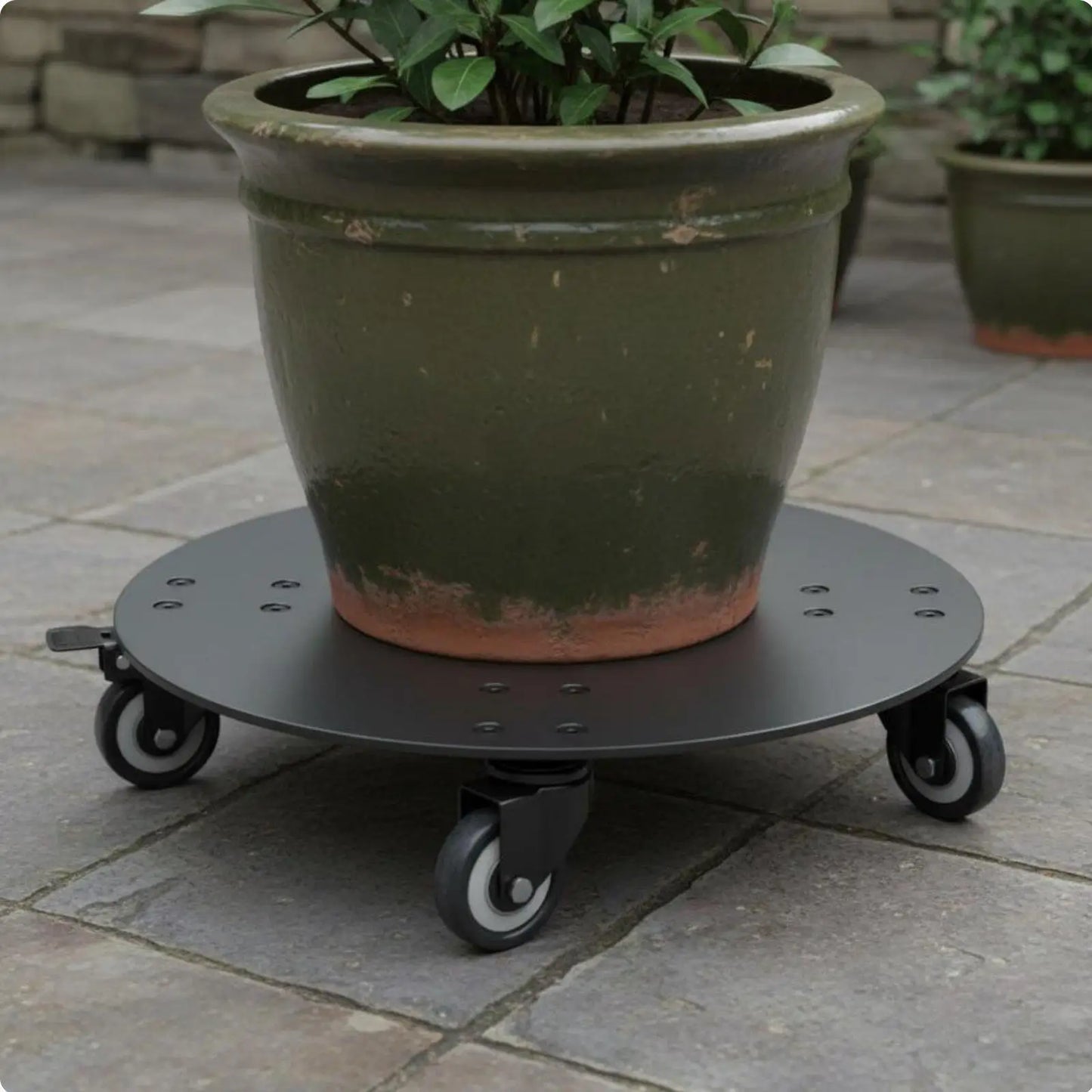 Heavy Duty Plant Stand for Home and Garden