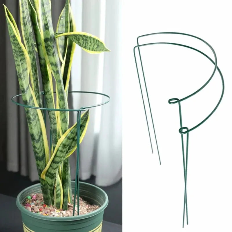 6Pcs Metal Plant Support Stakes and Borders