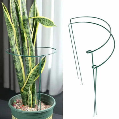 6Pcs Metal Plant Support Stakes and Borders