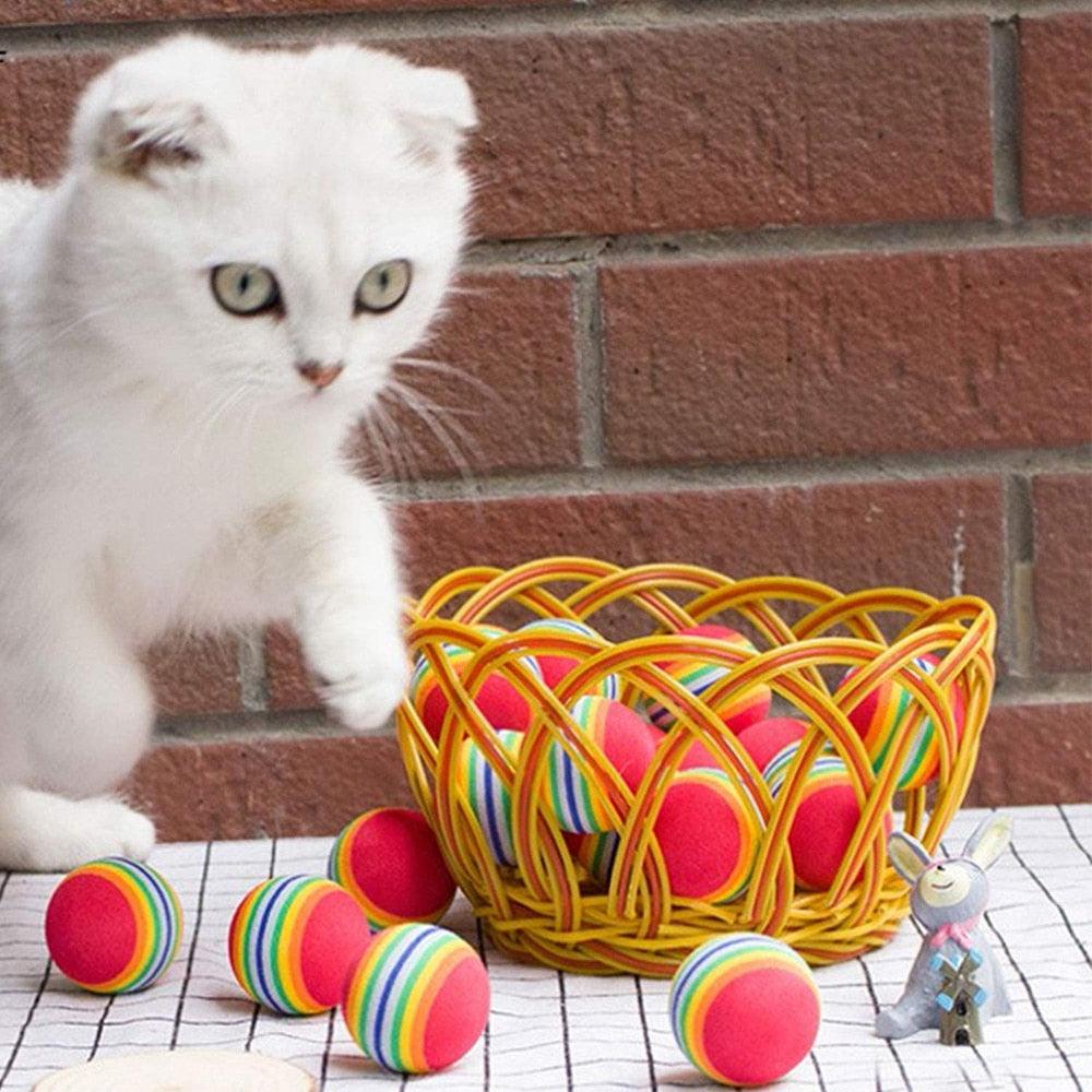 Stevvex 10pc cat toy balls set, rainbow foam balls in yellow basket beside white kitten on Tampa Home & Garden Store