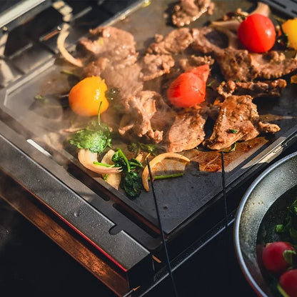 GS450 outdoor camping baking tray metal BBQ grill tray with beef and peppers on camp stove on Tampa Home & Garden Store