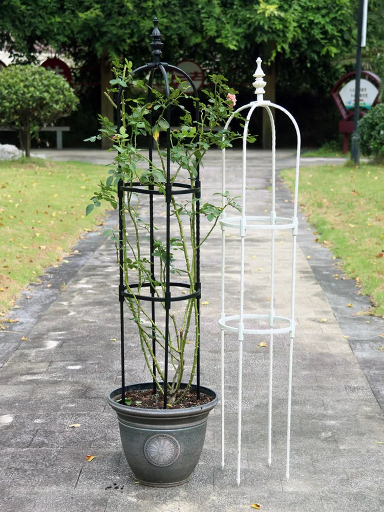 Climbing Plant Support Frame and a Garden Stand