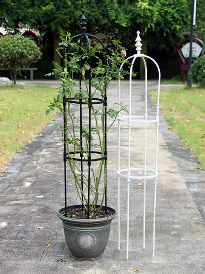 Climbing Plant Support Frame and a Garden Stand