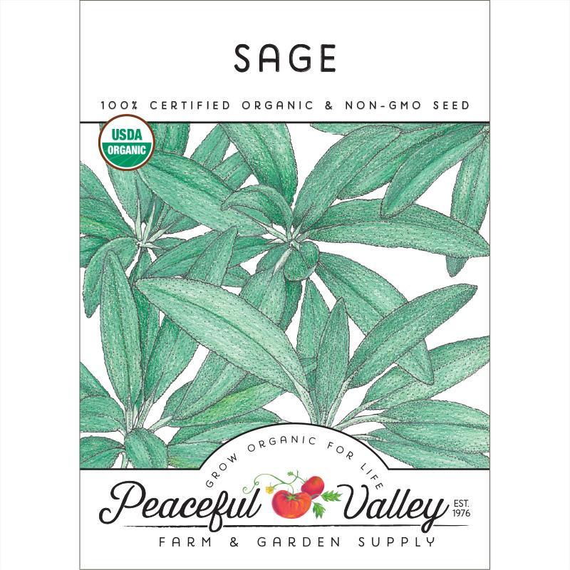 Sage Seeds (Organic) - Tampa Home & Garden Store