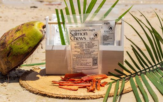 Masticables de salmón salvaje – 56 g | Raw Instincts | Premio rico en omega para perros y gatos