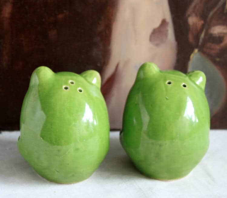 Salt and Pepper Frog Shakers.  Funky Shakers. - Tampa Home & Garden Store