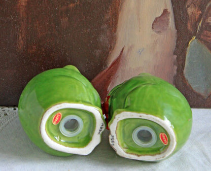 Salt and Pepper Frog Shakers.  Funky Shakers. - Tampa Home & Garden Store
