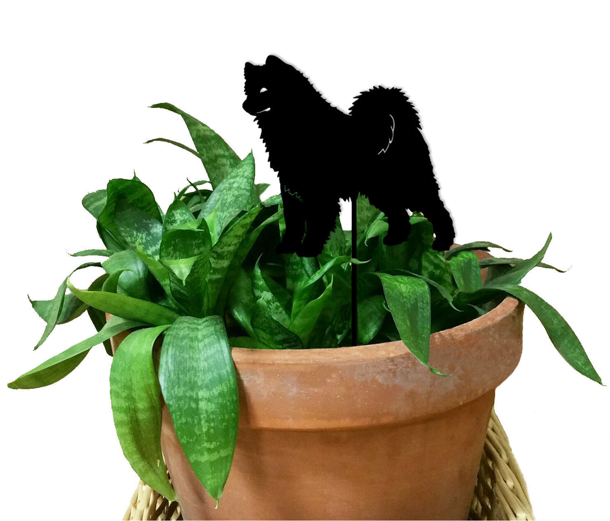 Samoyed plant stake on black stake over green pothos in a terracotta pot Rustica Ornamentals on Tampa Home & Garden Store