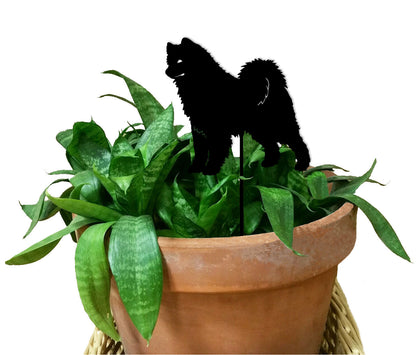 Samoyed plant stake on black stake over green pothos in a terracotta pot Rustica Ornamentals on Tampa Home & Garden Store