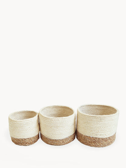 Savar Bin - Tampa Home & Garden Store