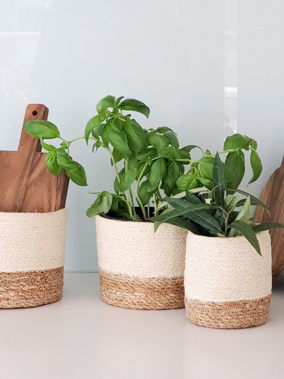 Savar Bin - Tampa Home & Garden Store