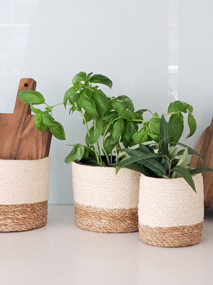 Savar Bin - Tampa Home & Garden Store