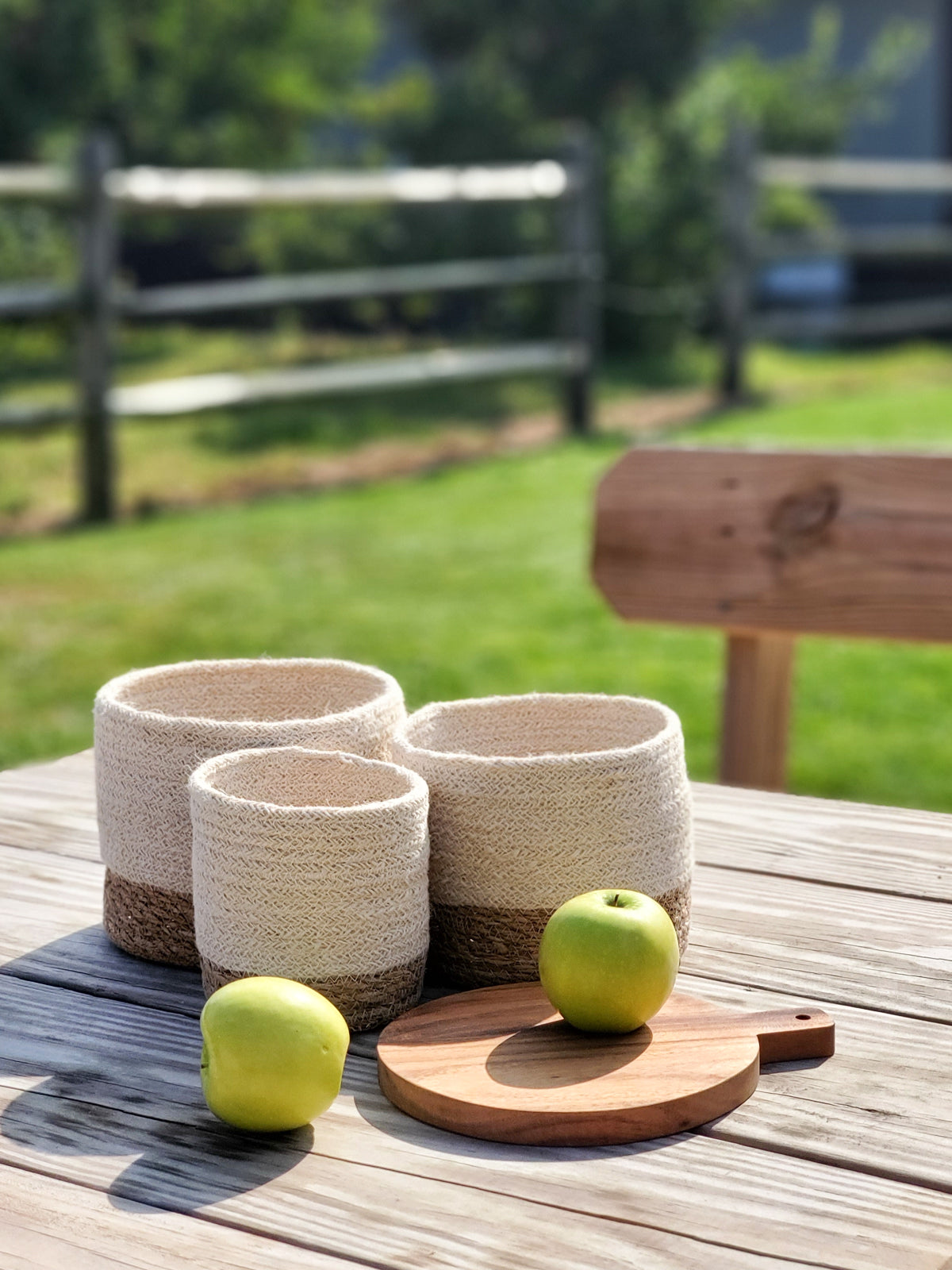 Savar Bin - Tampa Home & Garden Store