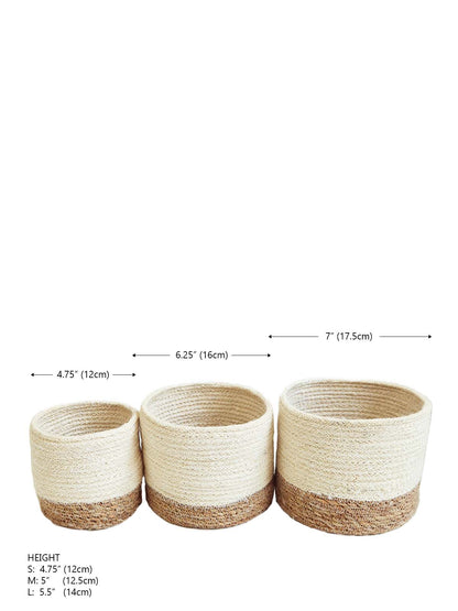 Savar Bin - Tampa Home & Garden Store