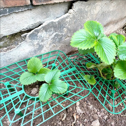 Green Plastic Strawberry Support Rack for Garden