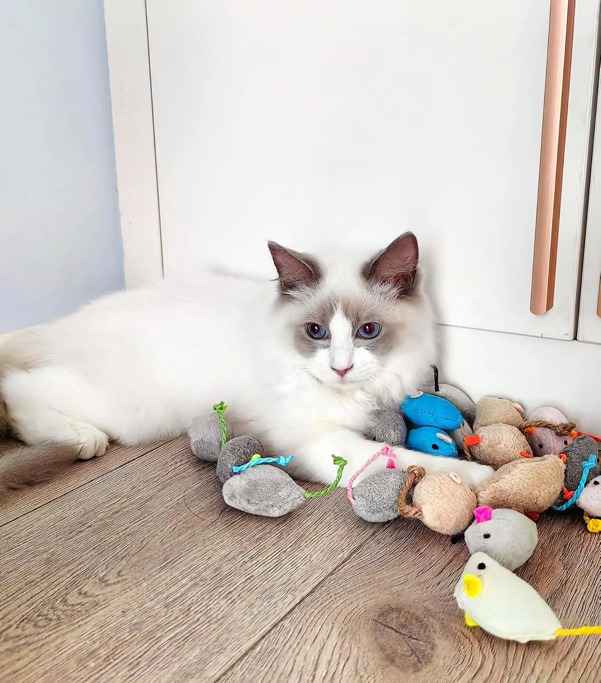FLIPSTYLEZLLC catnip rattle mouse toys set; soft faux fur mice around a white fluffy cat on Tampa Home & Garden Store