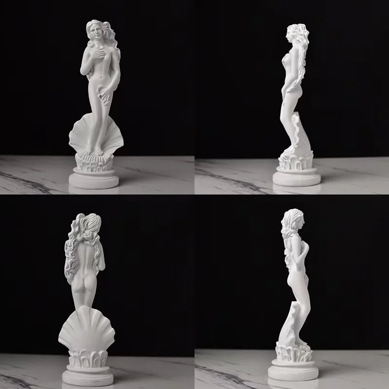 Birth of Venus resin statue, white Botticelli goddess on shell base for decor Perfecsy on Tampa Home & Garden Store