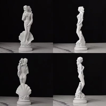 Birth of Venus resin statue, white Botticelli goddess on shell base for decor Perfecsy on Tampa Home & Garden Store