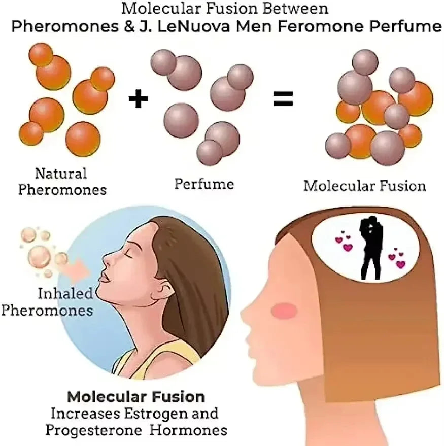 Silcy Skin pheromone perfume for men—diagram of natural pheromones and perfume molecules on Tampa Home & Garden Store