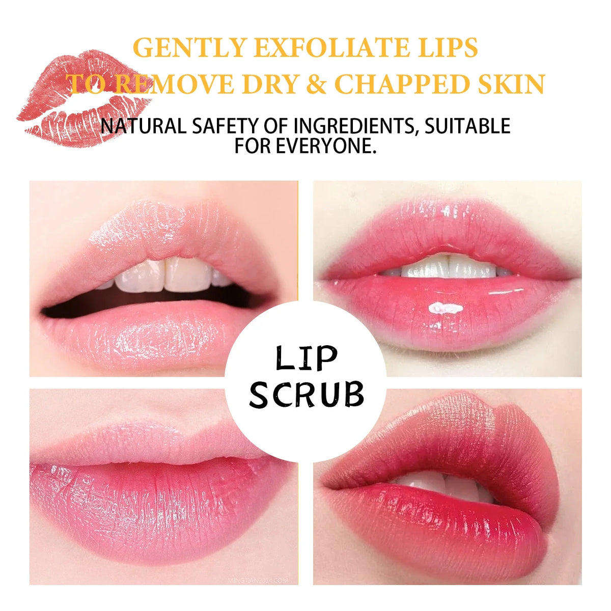 EELHOE Honey Lip Scrub collage of four pink to red lip closeups on Tampa Home & Garden Store
