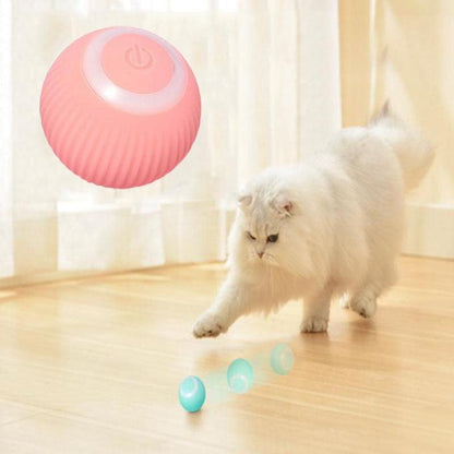 Stevvex cat rolling ball toy with pink ball and three teal balls for indoor kitten play on Tampa Home & Garden Store