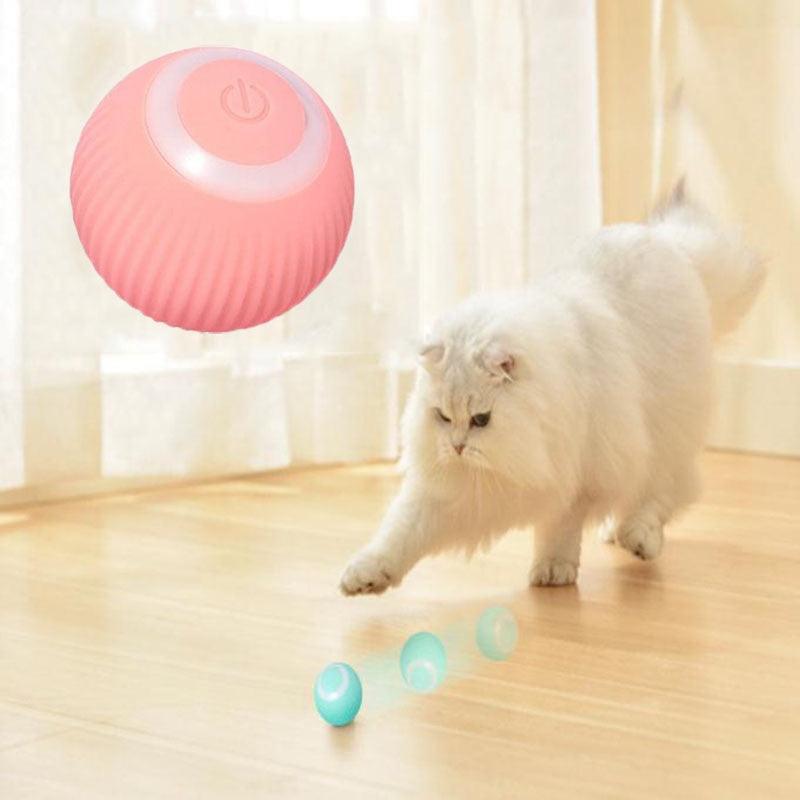 Smart cat rolling ball toy Stevvex rechargeable ball with power button chasing teal balls on Tampa Home & Garden Store