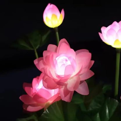 Perfecsy 1pc solar LED 3-head lotus garden light with pink petals glowing at night on Tampa Home & Garden Store