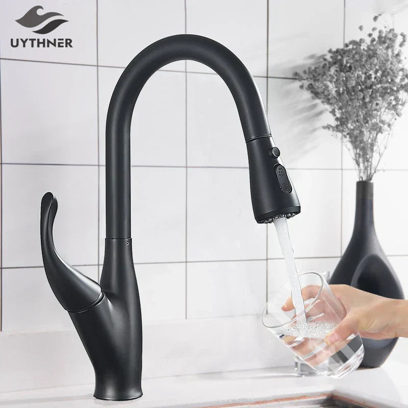 DecorBites kitchen faucet matte black pull-out mixer with gooseneck spout and 2-function spray on Tampa Home & Garden Store