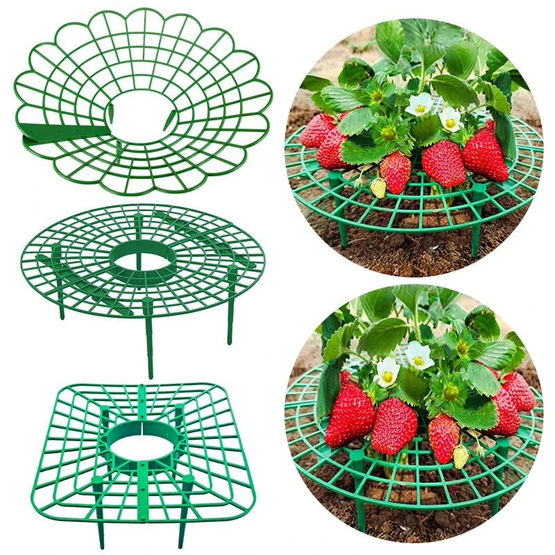 Green Plastic Strawberry Support Rack for Garden