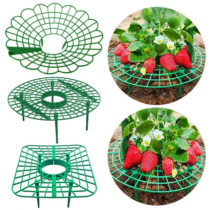 Green Plastic Strawberry Support Rack for Garden