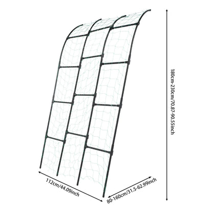 Steel Garden Arch and Climbing Plant Trellis