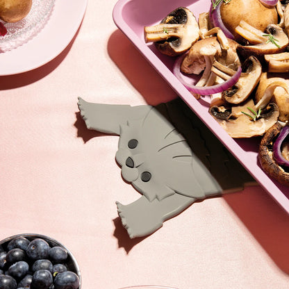 Scaredy Cat - Tampa Home & Garden Store
