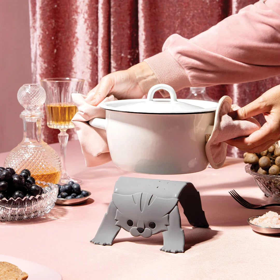 Scaredy Cat - Tampa Home & Garden Store