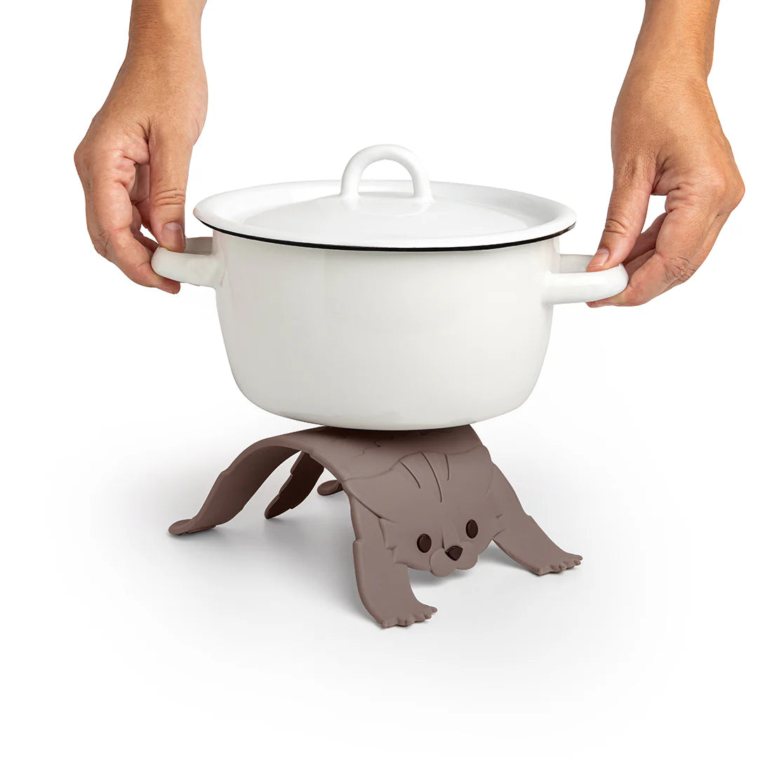 Scaredy Cat - Tampa Home & Garden Store