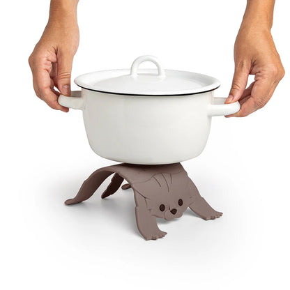 Scaredy Cat - Tampa Home & Garden Store